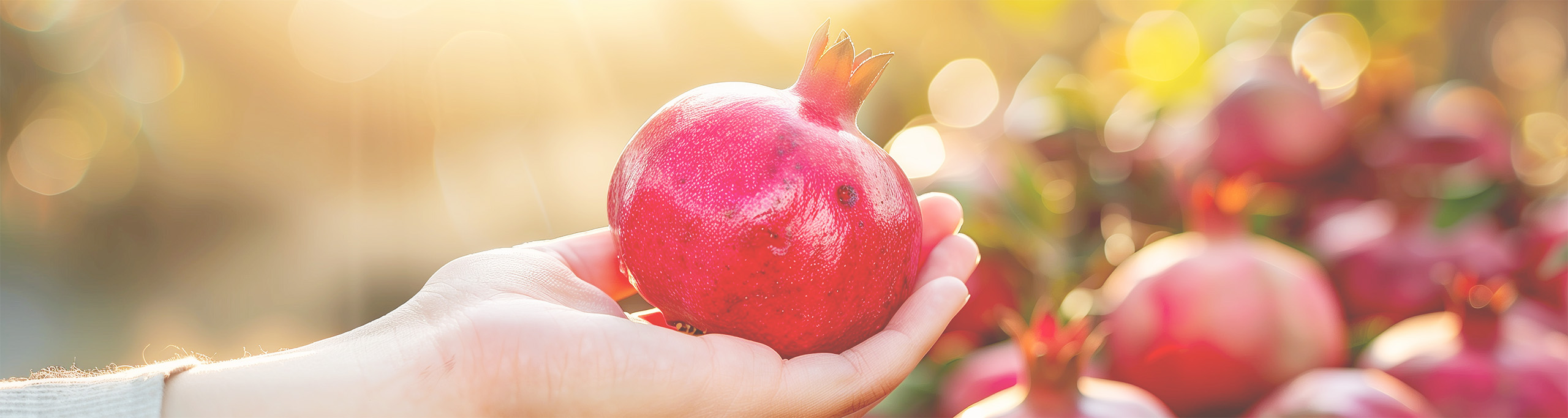 Eine Hand reicht einladend einen prallen, tiefroten Granatapfel – ein Symbol für die Rückkehr in Ganzheit und Fülle.
