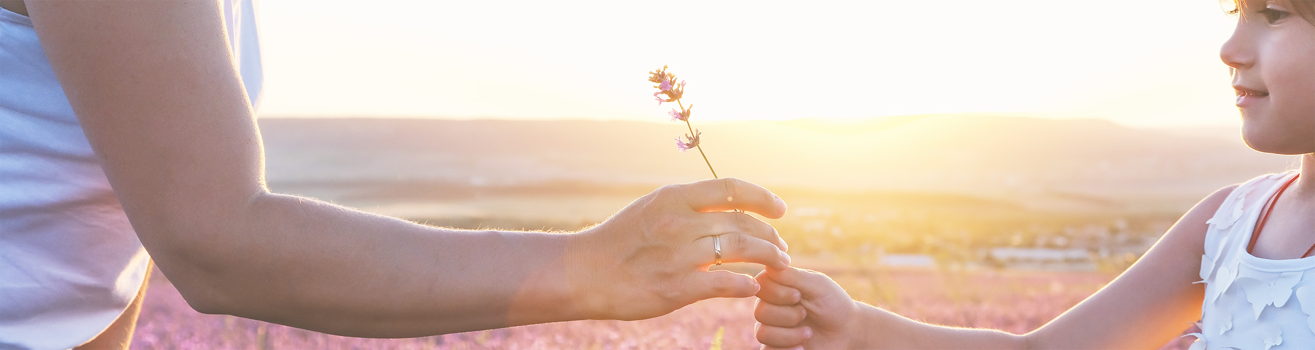 Kind reicht Mutter liebevoll einen Lavendelhalm: Halt und liebevolle Wegbegleitung (Mentoring) in Zeiten von Krise, Trauer, Umbruch.